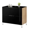 Brandneu ⌛ 77 Cm Hohe Kommode In Schwarz Glas – Saspan ❤️ 20